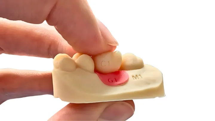 Flexibility Meets Realism